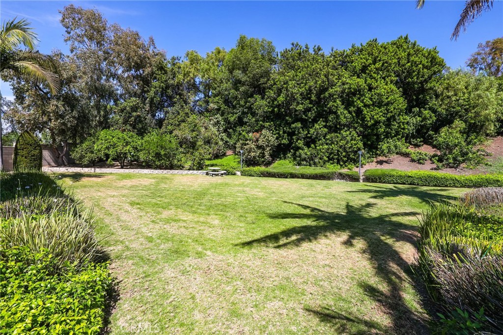 10372 South Crawford Canyon Road Santa Ana, CA 92705 - Photo 10 of 75 a view of a field with a tree in it
