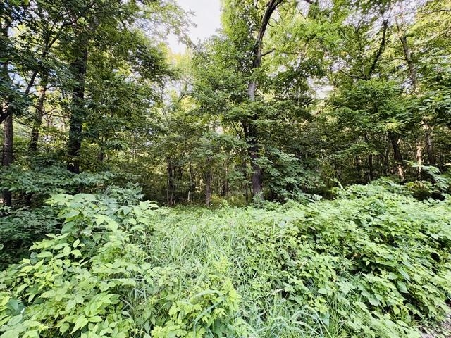Lot 9 Mount Hope Brodhead, WI 53520 - Photo 6 of 14