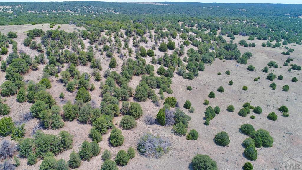 Unit #4 Unit Road Walsenburg, CO 81089 - Photo 30 of 36