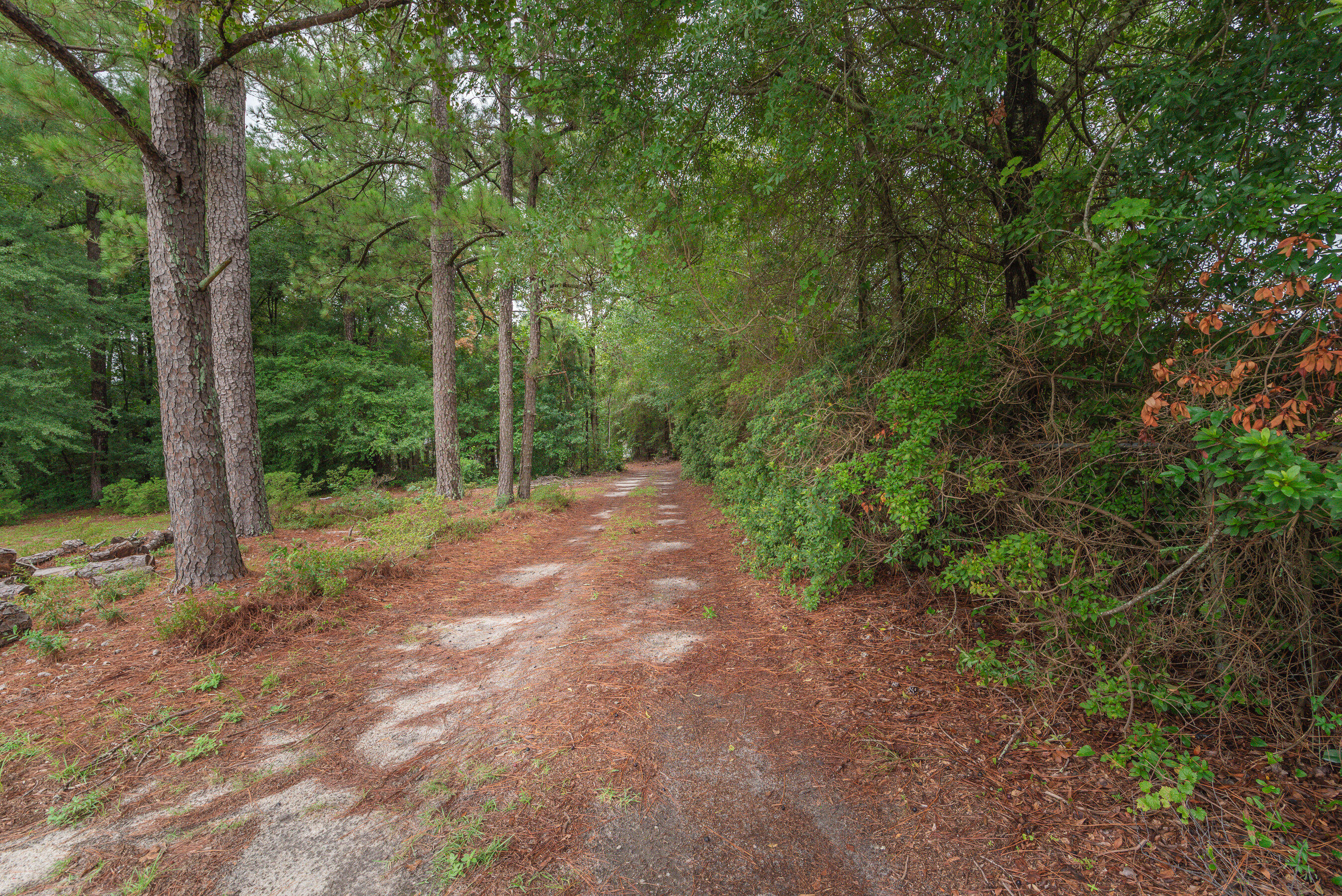 783 Main Street New Ellenton, SC 29809 - Photo 56 of 56 049_783_main_st_049_593
