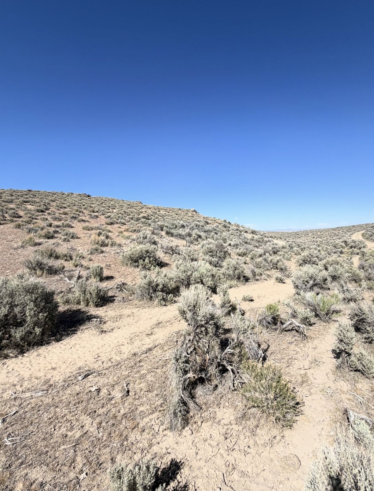 29 Twp 37n Rge 58e Mdb&m Deeth, NV 89823 - Photo 5 of 9