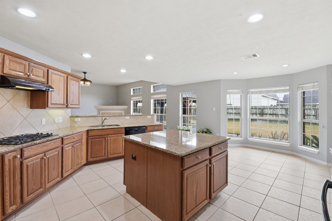 6534 Granbury Road Manvel, TX 77578 - Photo 23 of 49 a kitchen with stainless steel appliances granite countertop a sink counter space cabinets and a large window