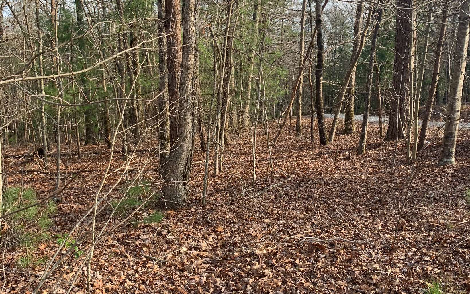 24 Possum Poke Road Ellijay, GA 30536 - Photo 1 of 4 Main View