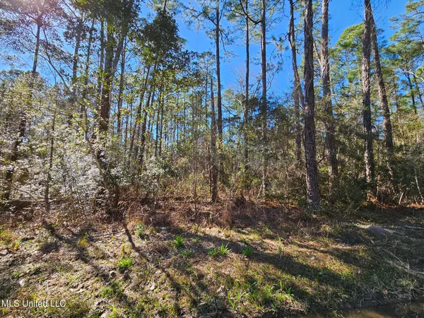 $4,500 | Lot 29 Gregory Drive, Pass Christian, MS 39571