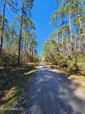 $4,500 | Lot 29 Gregory Drive, Pass Christian, MS 39571