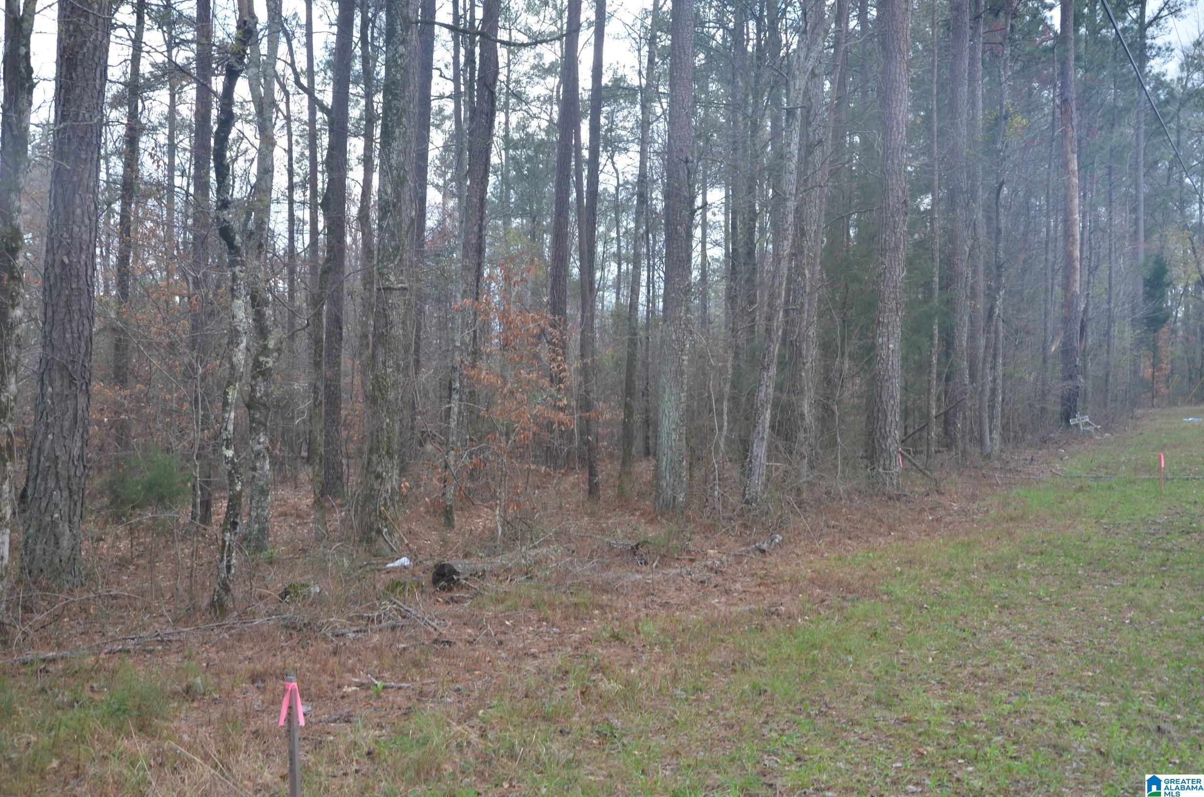 0 Settlers Ridge Alabaster, AL 35007 - Photo 11 of 19