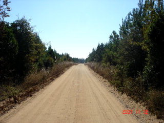 Lot 11 Skyland Farm Road Williston, SC 29853 - Photo 1 of 1