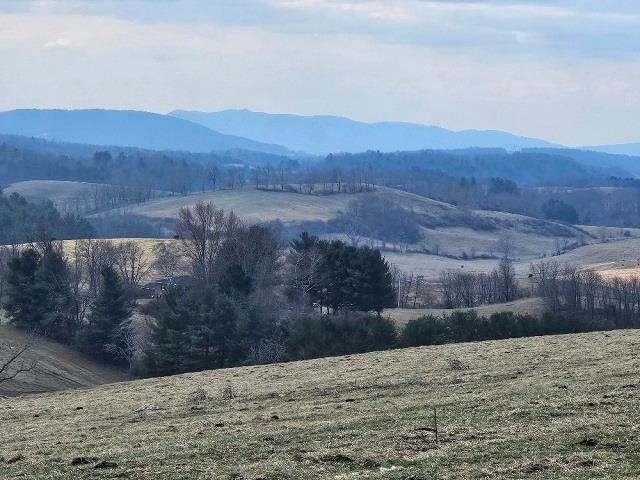Tbd Old Baltimore Road Draper, VA 24324 - Photo 1 of 47 Gallery Image 1