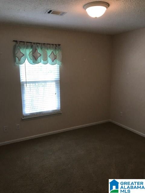 11628 Hagler Coaling Road Cottondale, AL 35453 - Photo 18 of 24