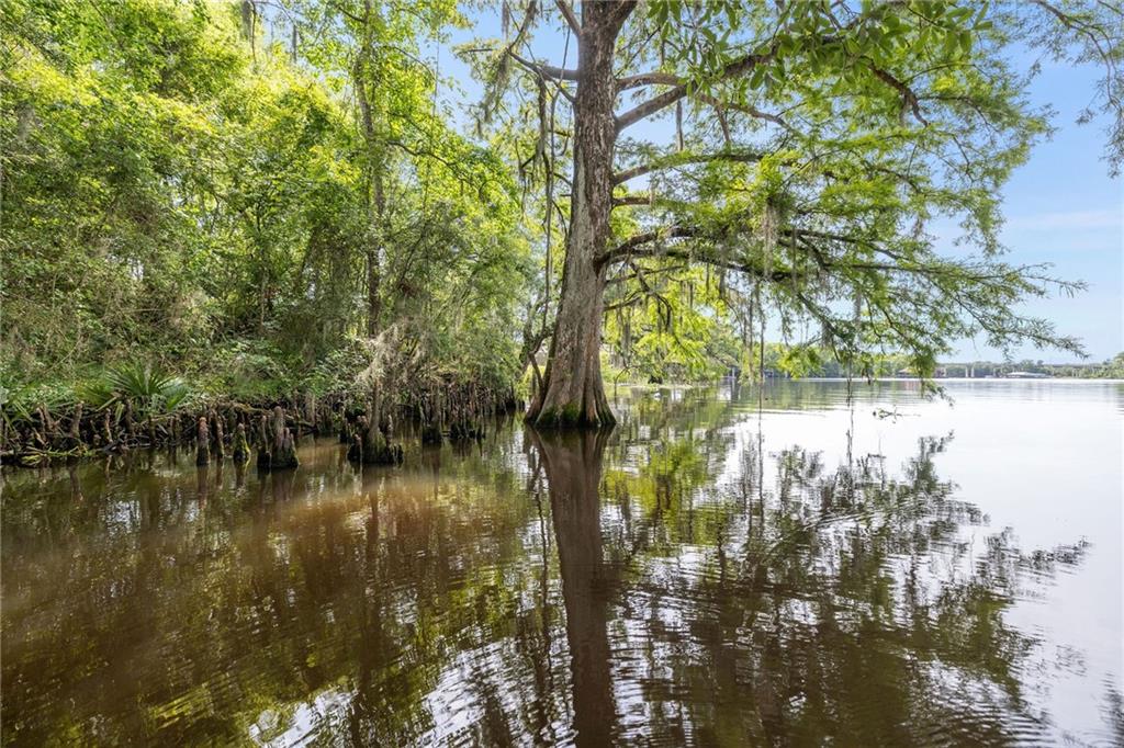 20493 Carpenter Road Springfield, LA 70462 - Photo 31 of 33