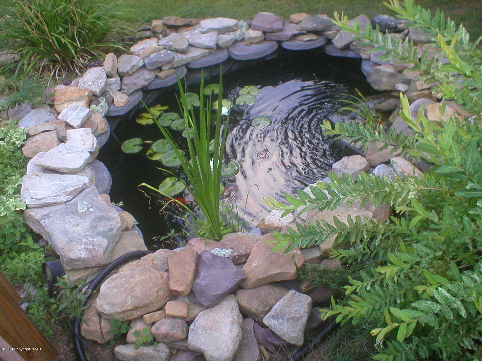 69 Yellow Run Road Jim Thorpe, PA 18229 - Photo 19 of 27 Upclose of koi pond and lots of goldfish