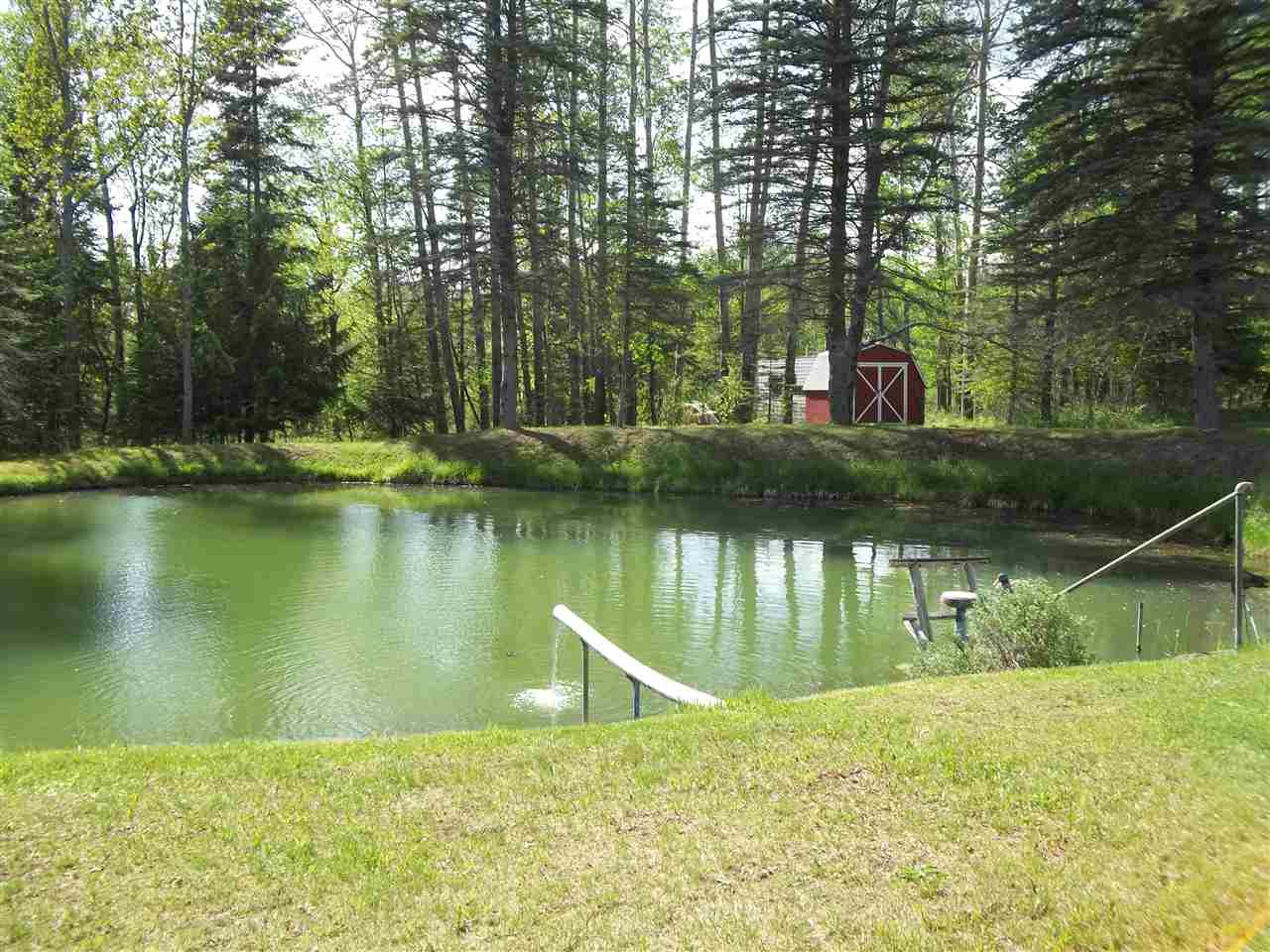2725 Sharboneau Road Lincoln, MI 48742 - Photo 3 of 31 1800520-2.JPG