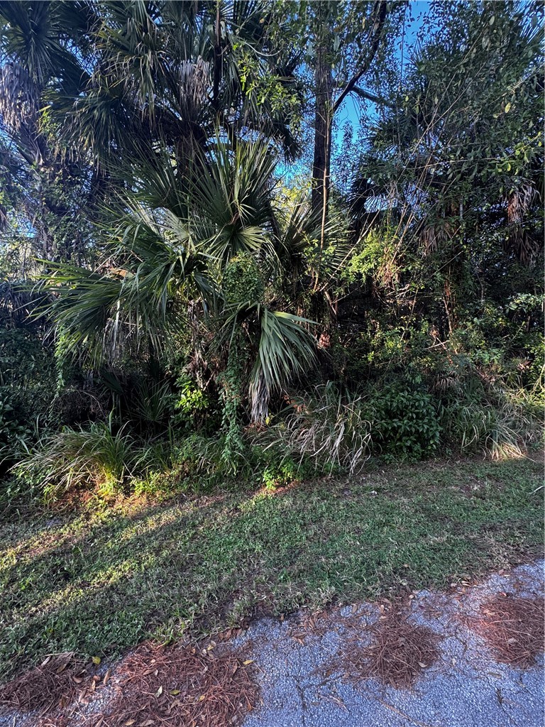 8104 Hibiscus Road Fort Pierce, FL 34951 - Photo 3 of 3 Gallery Image 3