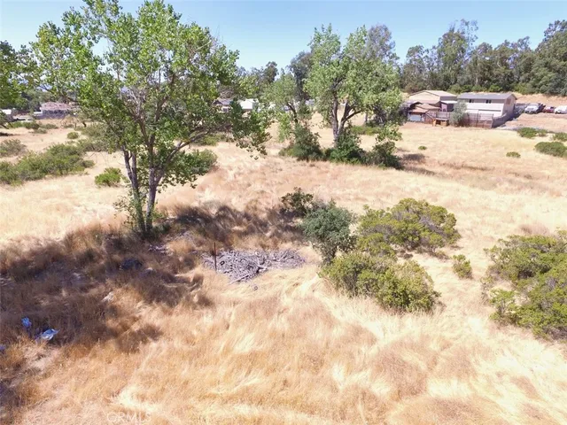 a view of a yard with a tree
