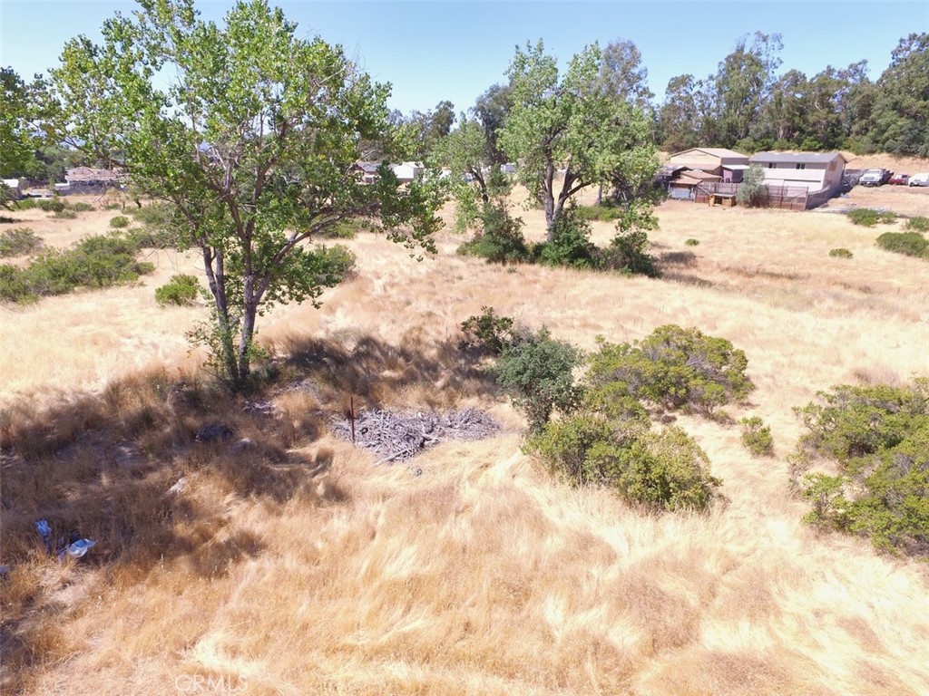 7522 Lake Street Nice, CA 95464 - Photo 5 of 7 a view of a yard with a tree