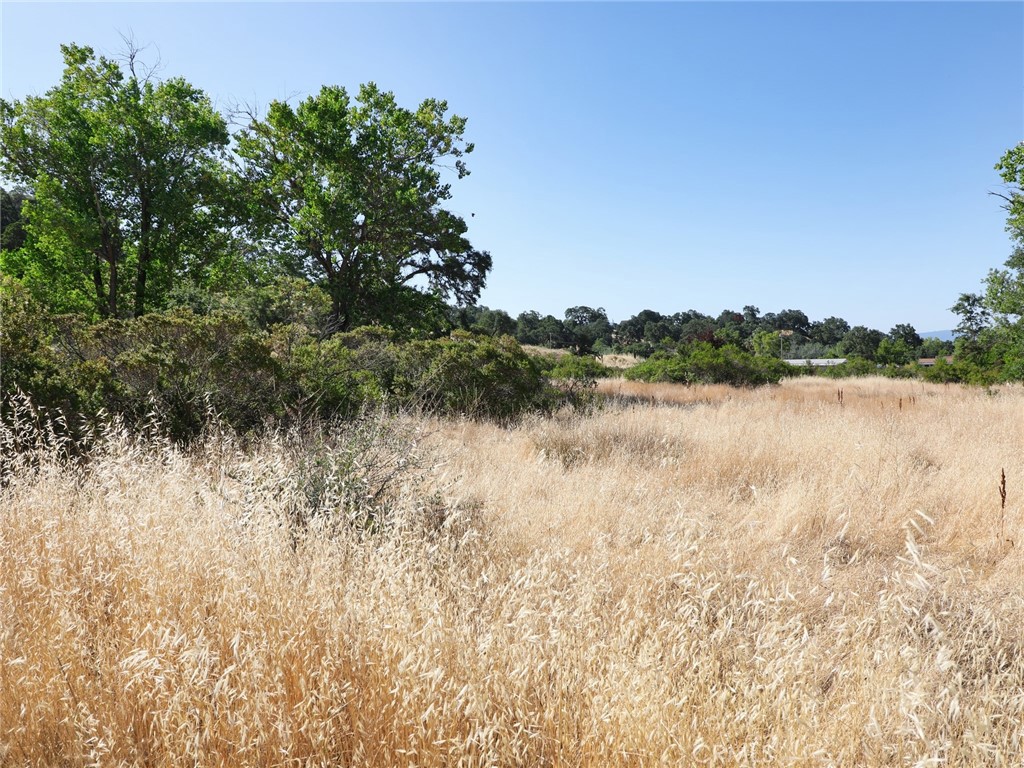 7522 Lake Street Nice, CA 95464 - Photo 7 of 7 a view of lake