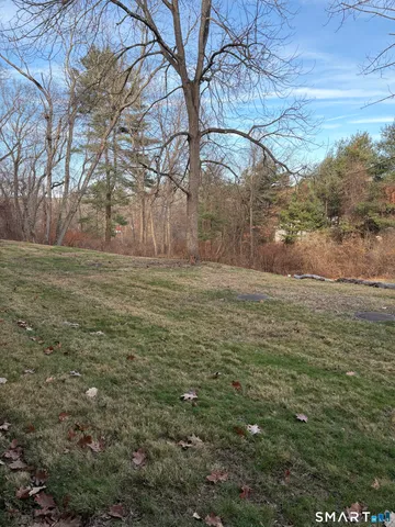 a view of a field of grass and trees