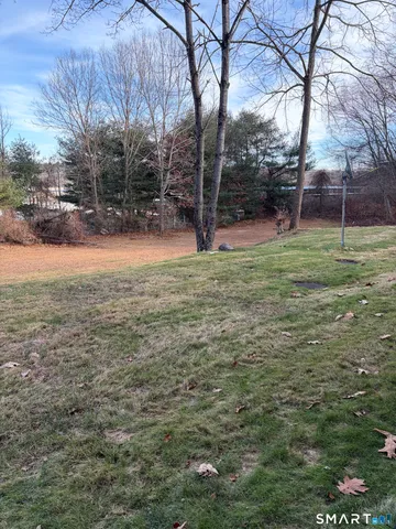 a backyard of a house with plants and large trees