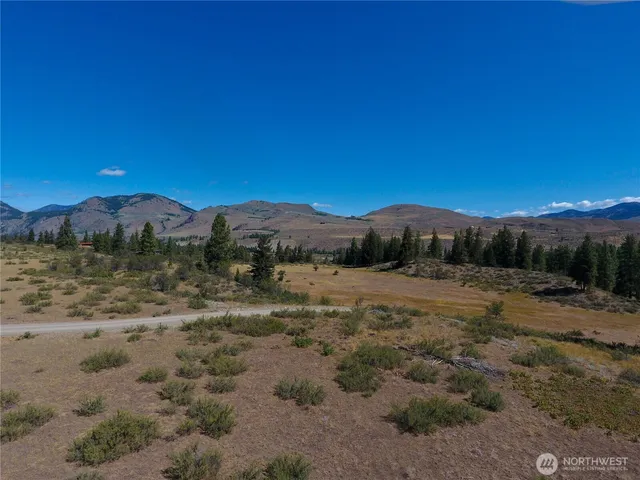 a view of a town with large trees