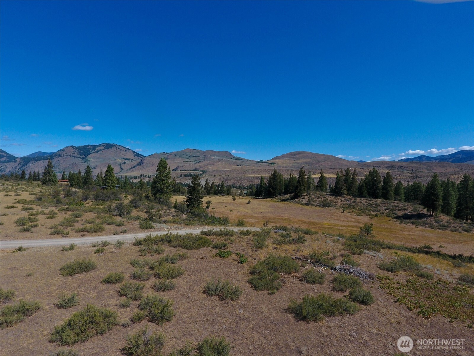 1 Perrow Drive Winthrop, WA 98862 - Photo 1 of 1 a view of a town with large trees