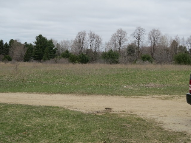7113 Cottage Road Bellaire, MI 49615 - Photo 8 of 27 1798702-7.JPG