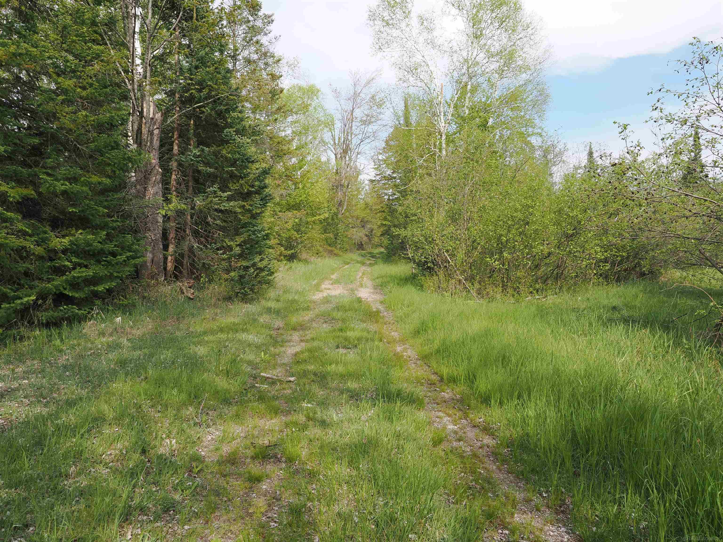 4011 Sandall Road Alpena, MI 49707 - Photo 47 of 73