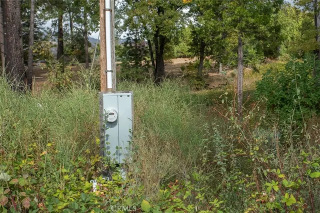 a view of a tree in front of a house