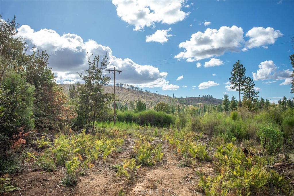 4023 Kakini Road Oroville, CA 95965 - Photo 17 of 54 a view of a city
