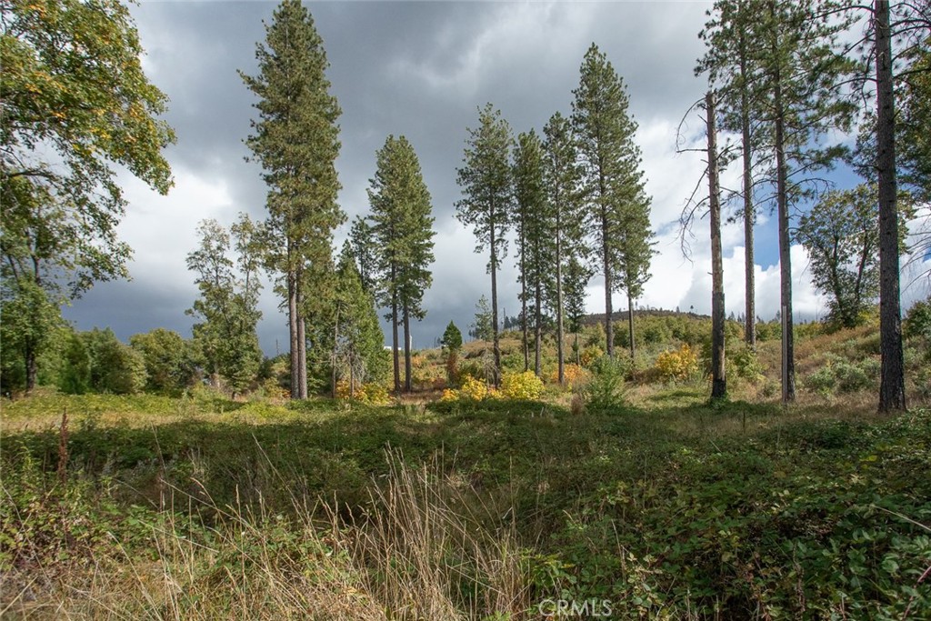4023 Kakini Road Oroville, CA 95965 - Photo 20 of 54 a view of a garden