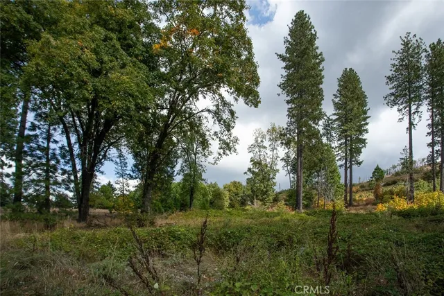 a view of a yard with green space