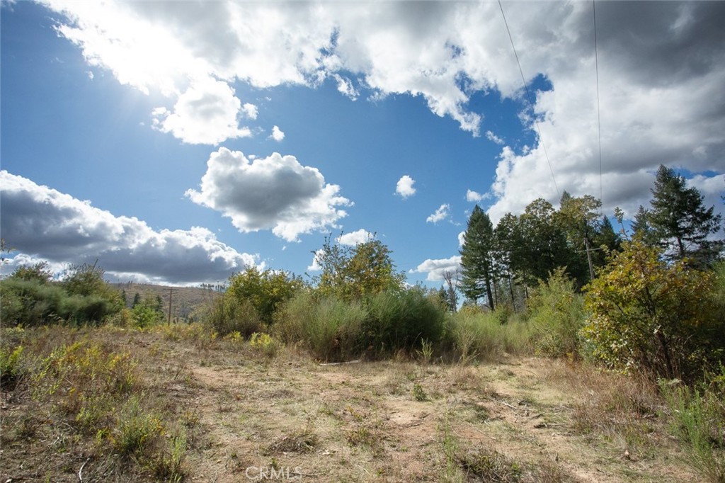 4023 Kakini Road Oroville, CA 95965 - Photo 23 of 54 a view of a yard with green space