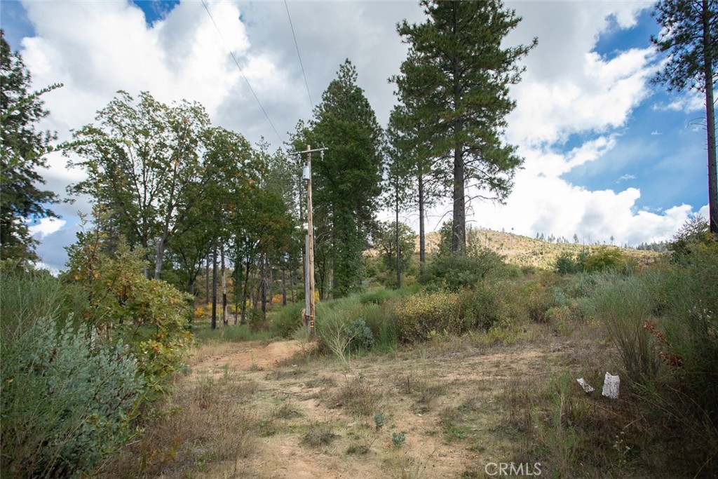 4023 Kakini Road Oroville, CA 95965 - Photo 26 of 54 a view of a forest with trees in the background