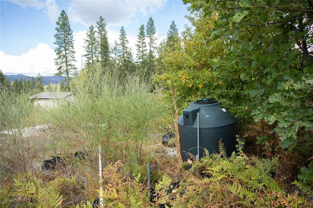 4023 Kakini Road Oroville, CA 95965 - Photo 27 of 54 a view of a garden