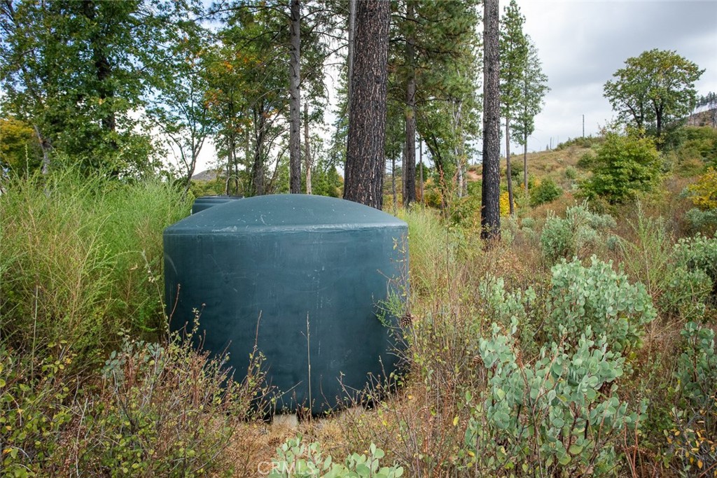 4023 Kakini Road Oroville, CA 95965 - Photo 28 of 54 a view of a garden