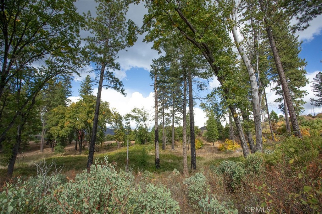 4023 Kakini Road Oroville, CA 95965 - Photo 34 of 54 a view of lake
