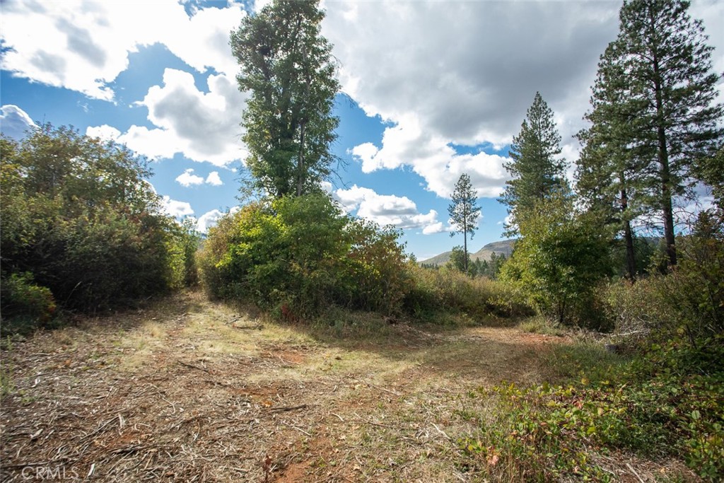 4023 Kakini Road Oroville, CA 95965 - Photo 36 of 54 a view of a yard with plants and trees