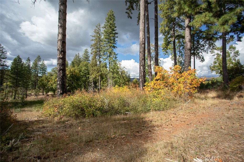 4023 Kakini Road Oroville, CA 95965 - Photo 38 of 54 a view of a yard