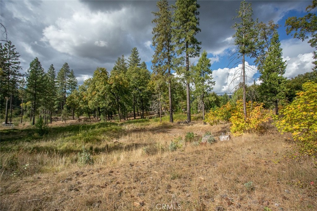 4023 Kakini Road Oroville, CA 95965 - Photo 39 of 54 a view of a yard with large trees