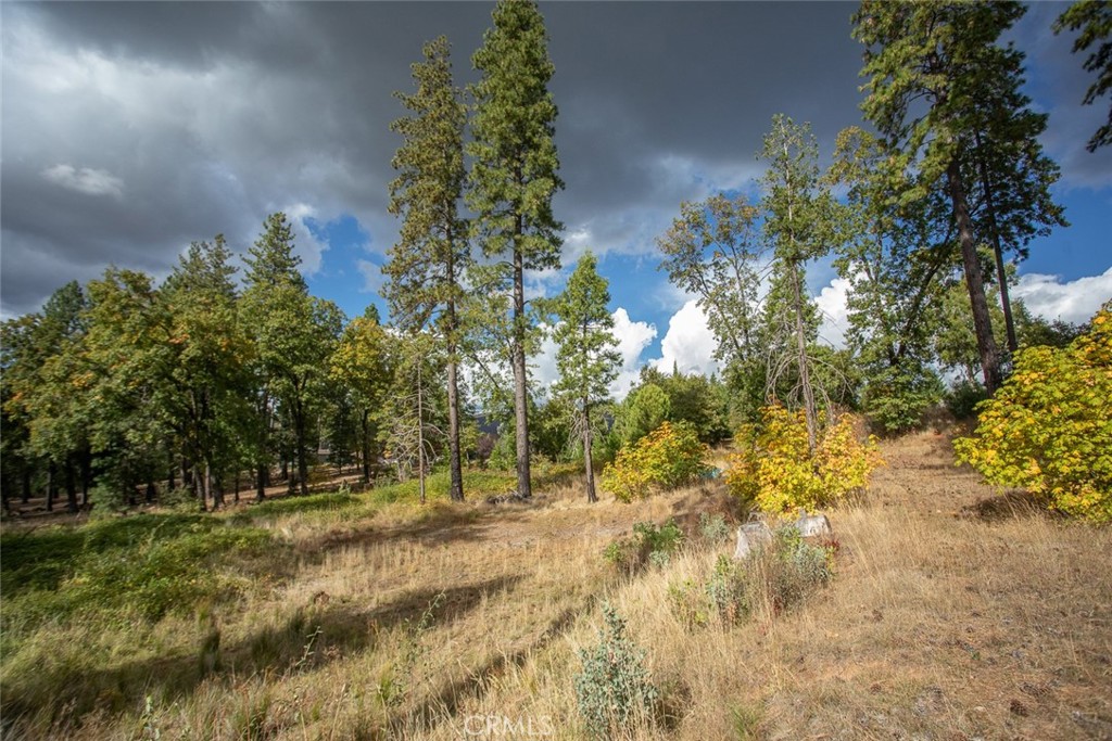 4023 Kakini Road Oroville, CA 95965 - Photo 40 of 54 a view of backyard of house with green space