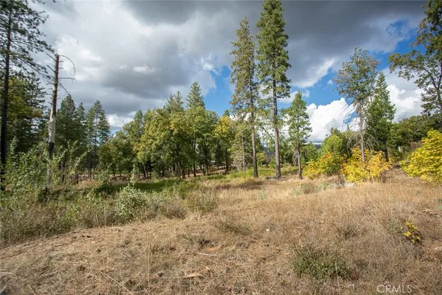 a view of a yard with wooden fence and trees
