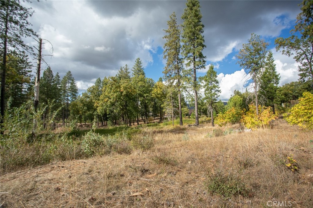 4023 Kakini Road Oroville, CA 95965 - Photo 41 of 54 a view of a yard with a tree