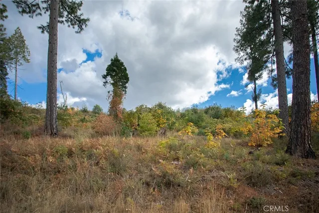 a view of lake with green space