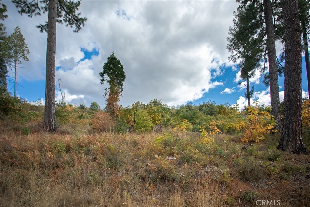 4023 Kakini Road Oroville, CA 95965 - Photo 42 of 54 a view of a flower