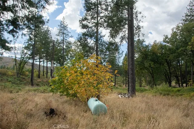 a view of outdoor space with trees all around