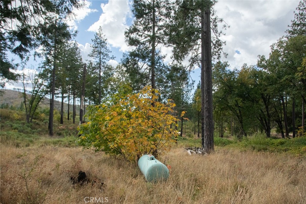4023 Kakini Road Oroville, CA 95965 - Photo 43 of 54 a view of a backyard of the house