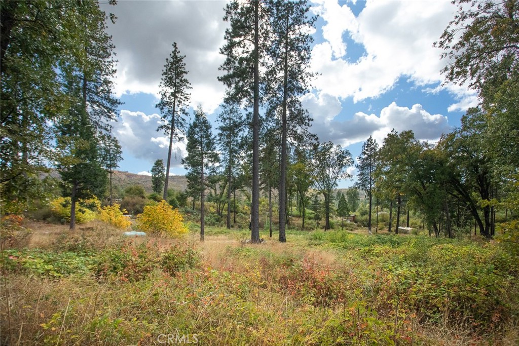 4023 Kakini Road Oroville, CA 95965 - Photo 47 of 54 a view of outdoor space with trees all around