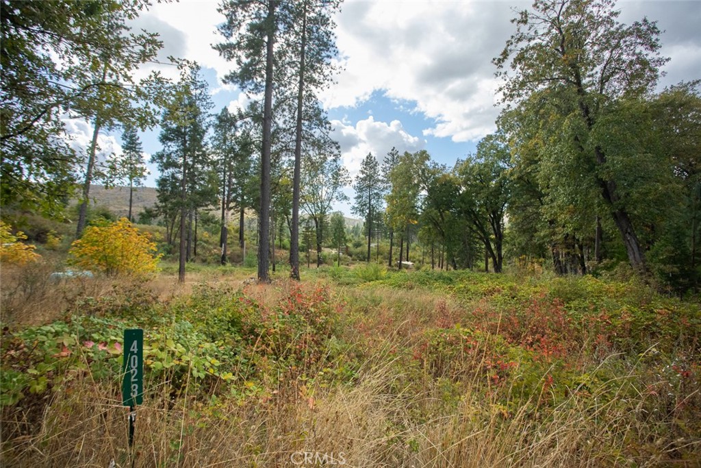 4023 Kakini Road Oroville, CA 95965 - Photo 48 of 54 a view of a lush green forest