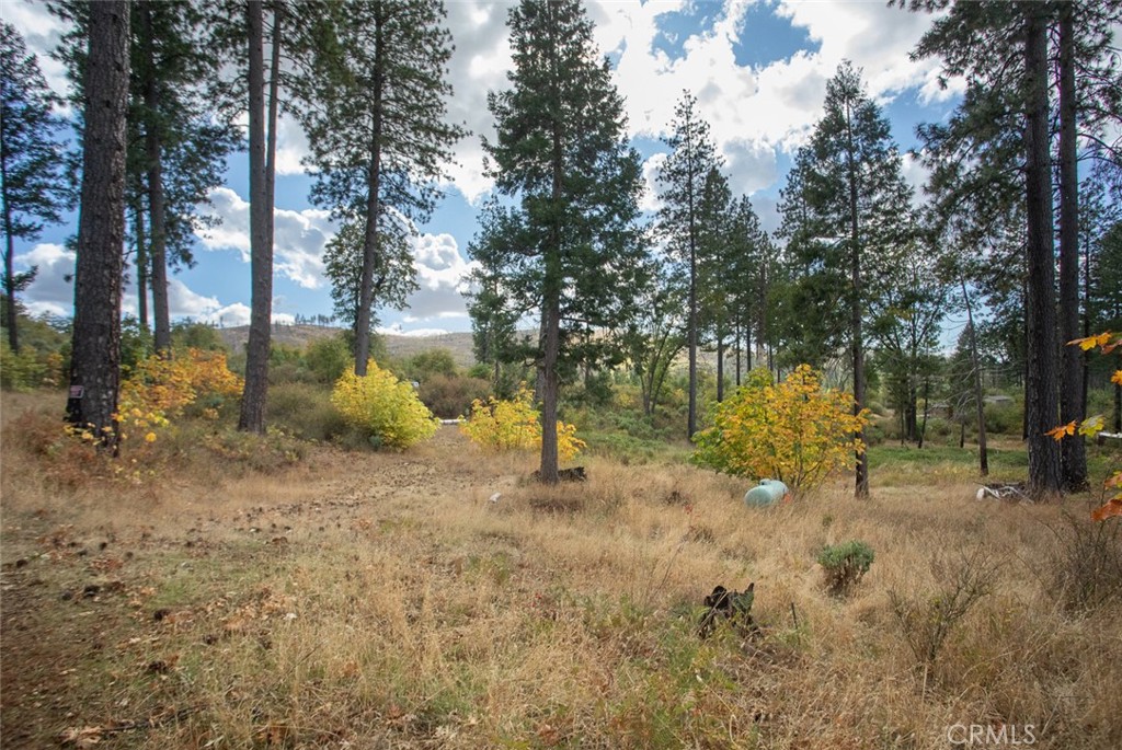 4023 Kakini Road Oroville, CA 95965 - Photo 50 of 54 a backyard of a house with lots of green space