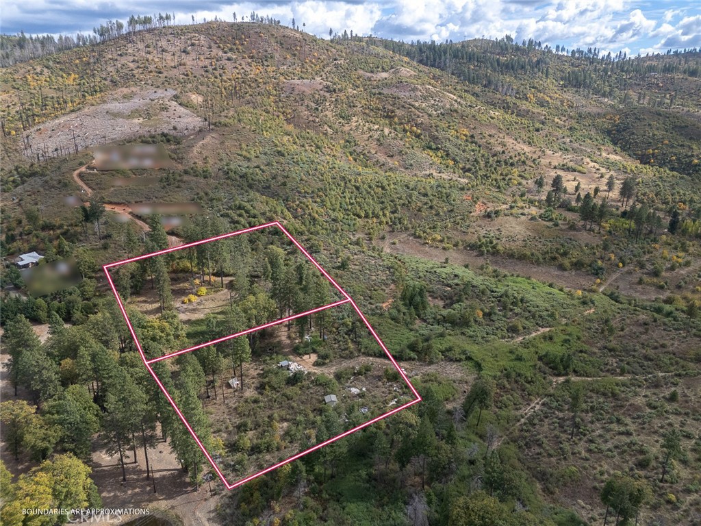 4023 Kakini Road Oroville, CA 95965 - Photo 7 of 54 a view of a forest