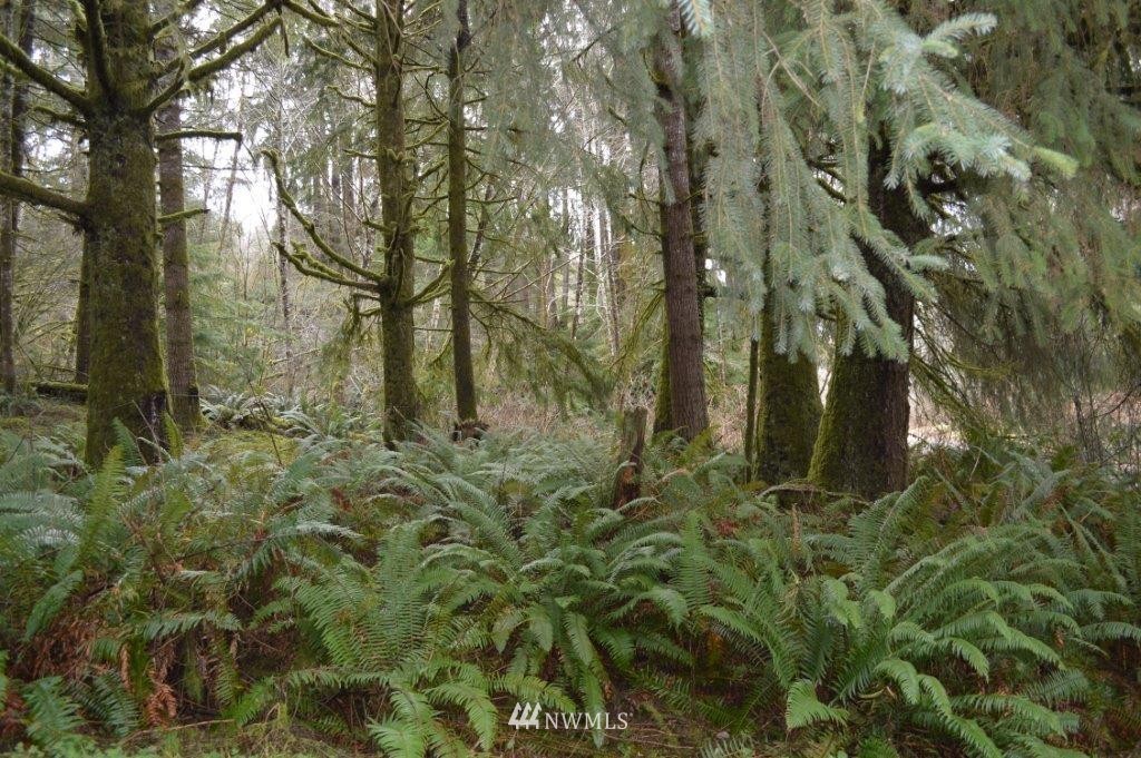 1611 Shahour Road Raymond, WA 98577 - Photo 21 of 25 Gallery Image 21
